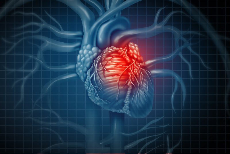 3D Diagram of a heart